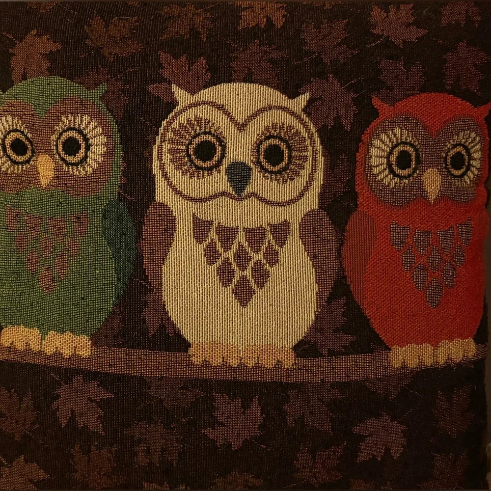 Decorative Vintage 3 Owl Pillow